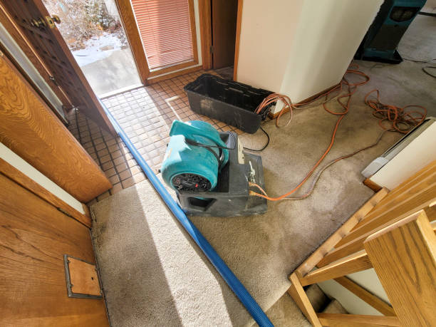 Best Basement water damage restoration  in Washington, GA