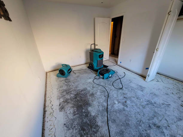 Best Carpet water damage restoration  in Washington, GA