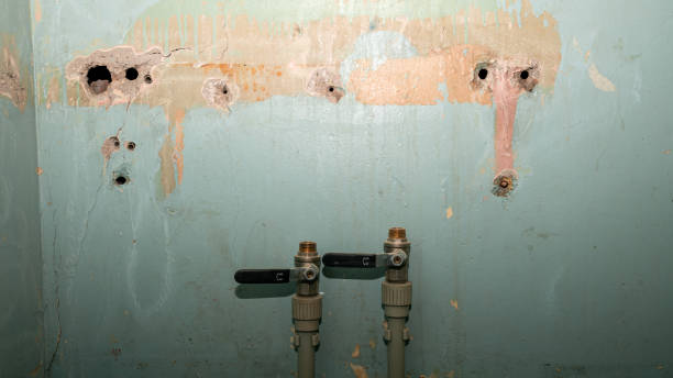 Best Ceiling water damage repair  in Washington, GA