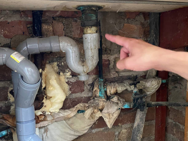 Best Professional water damage repair  in Washington, GA