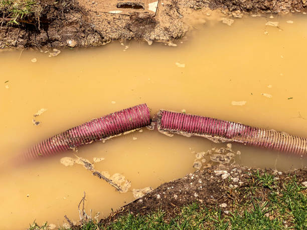 Best Flood restoration services  in Washington, GA