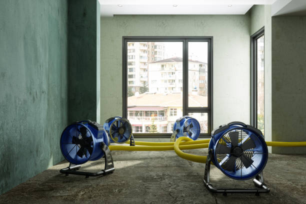Local water damage restoration in Washington, GA